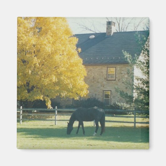 Land Paard - magneet (Voorkant)