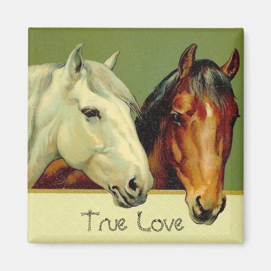 Land Paarden Ware Liefde Koelkastmagneet Magneet (Voorkant)