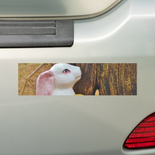 Land Pasen Bumpersticker (Op auto)