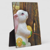 Land Pasen Fotoplaat (Zijkant)