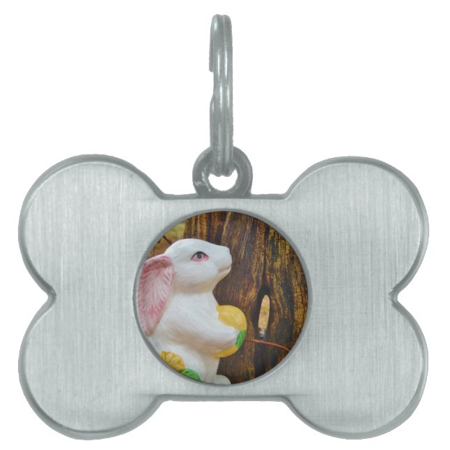 Land Pasen Huisdieren Naamplaatje (voorkant)