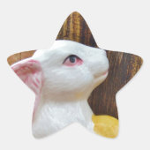 Land Pasen Ster Sticker (Voorkant)