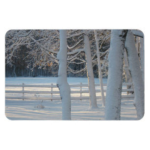 Land Pasture Magnet Magneet