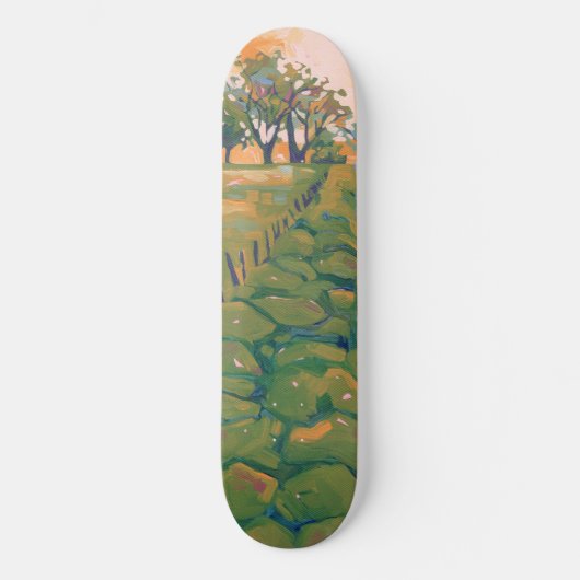 Land Persoonlijk Skateboard (Voorkant)