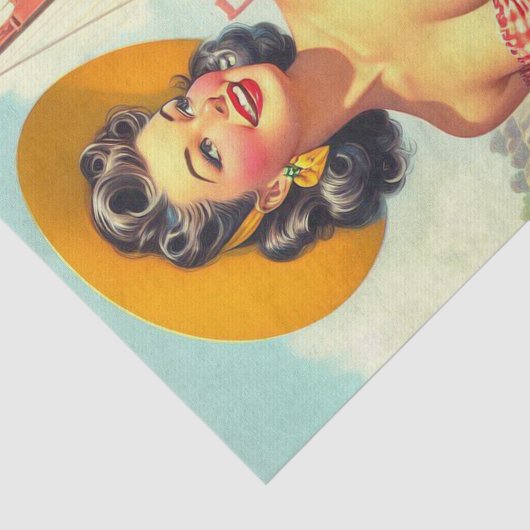  land Pin-Up Tissuepapier (Detail)