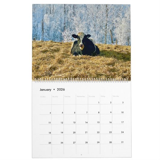 Land Pixs Koe Kalender 2024 (Jan 2026)