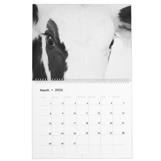 Land Pixs Koe Kalender 2024 (Mar 2026)