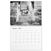 Land Pixs Koe Kalender 2024 (Feb 2026)