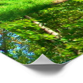 Land Road Fayette Poster (Hoek)