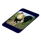 Land Road Gamecocock Magneet (Linkerzijde)