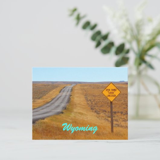 Land Road Open Range Wyoming Briefkaart (Staand voorkant)