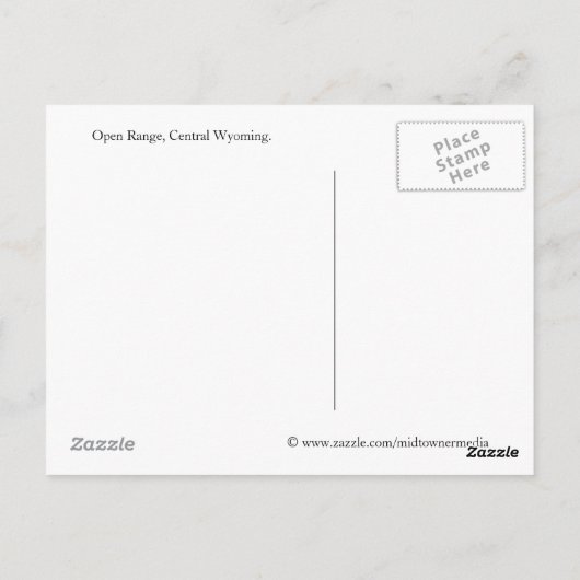 Land Road Open Range Wyoming Briefkaart (Achterkant)