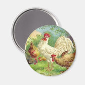 Land Rooster en kippen Magneet (Voorkant / Achterkant)