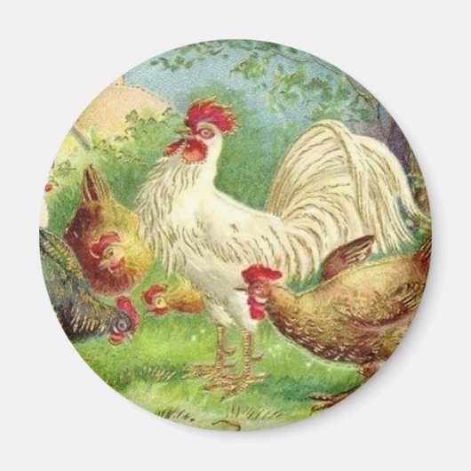 Land Rooster en kippen Magneet (Voorkant)