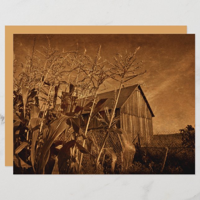 Land Rustic Barn  bruin Boerderij Textuur (Voorkant / Achterkant)