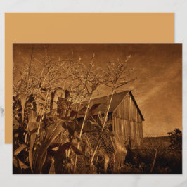 Land Rustic Barn  bruin Boerderij Textuur