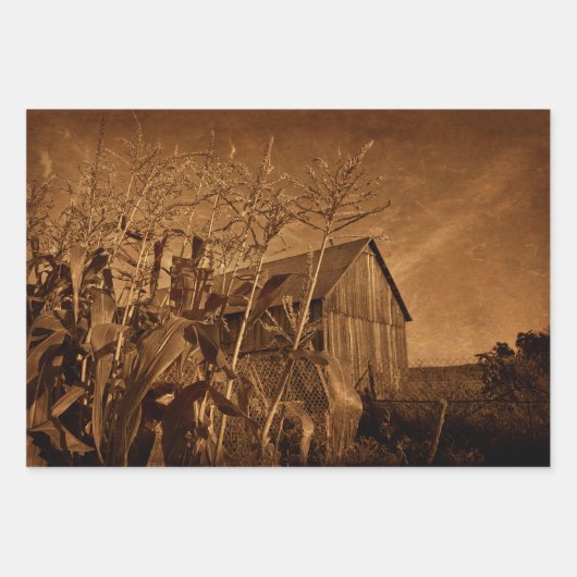 Land Rustic Barn  bruin Boerderij Textuur Inpakpapier Vel (Voorkant 3)