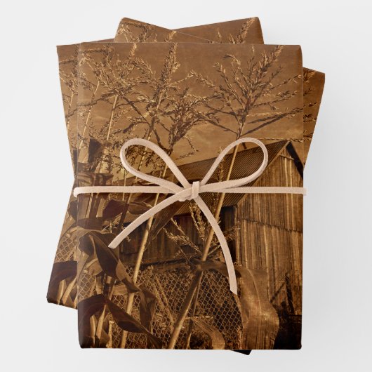 Land Rustic Barn  bruin Boerderij Textuur Inpakpapier Vel (In situ)