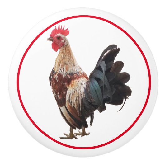 Land Rustige waterkuikens Keramische Knop (Voorkant)