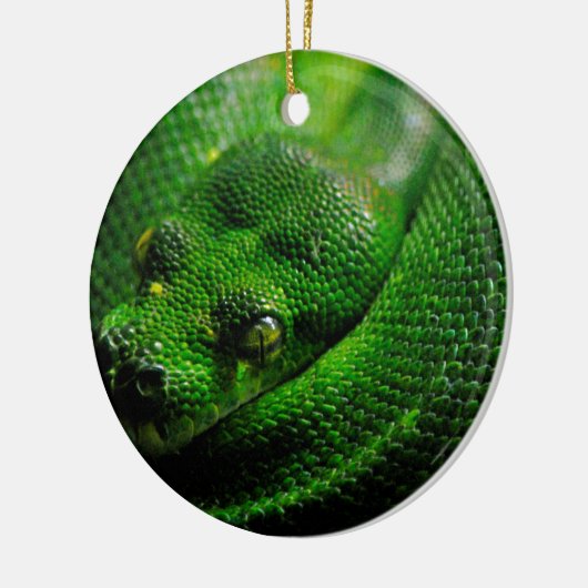 Land slang keramisch ornament (Links)