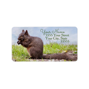 Land Squirrel Return Address Labels