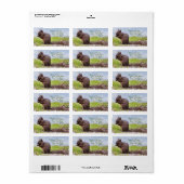 Land Squirrel Return Address Labels (Full Sheet)