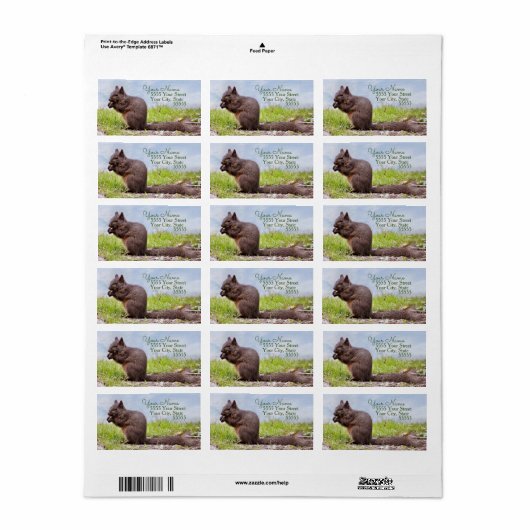 Land Squirrel Return Address Labels (Full Sheet)