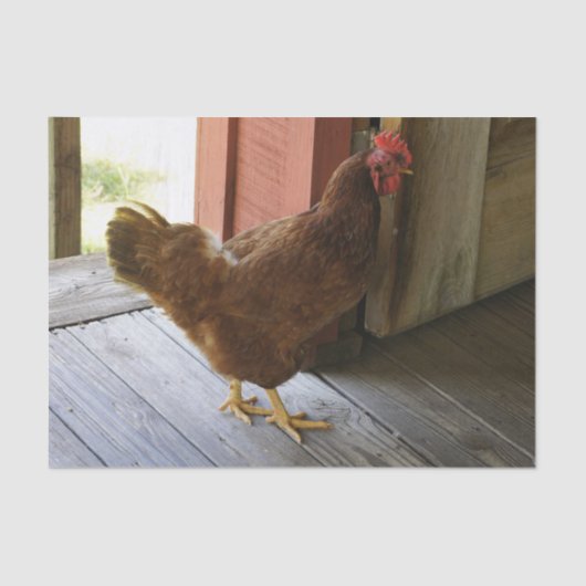 Land Tissuepapier (Voorkant)