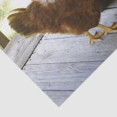 Land Tissuepapier (Detail)