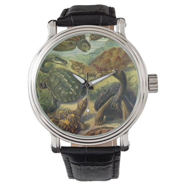  Land Tortoise Zee Schildpadden van Ernst Haeckel Horloge (Voorkant)