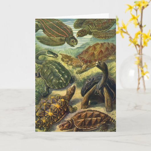  Land Tortoise Zee Schildpadden van Ernst Haeckel Kaart (Gele Bloem)