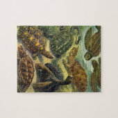  Land Tortoise Zee Schildpadden van Ernst Haeckel Legpuzzel (Horizontaal)
