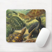  Land Tortoise Zee Schildpadden van Ernst Haeckel Muismat (Met muis)