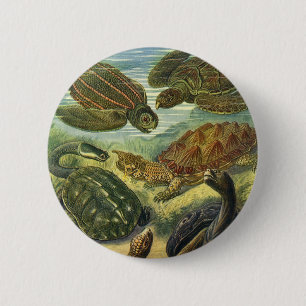Land Tortoise Zee Schildpadden van Ernst Haeckel Ronde Button 5,7 Cm