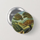 Land Tortoise Zee Schildpadden van Ernst Haeckel Ronde Button 5,7 Cm (Voorkant /achterkant)