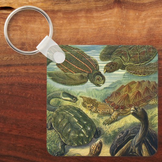  Land Tortoise Zee Schildpadden van Ernst Haeckel Sleutelhanger (Voorkant)