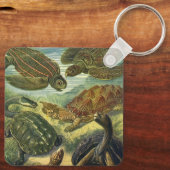  Land Tortoise Zee Schildpadden van Ernst Haeckel Sleutelhanger (Achterkant)