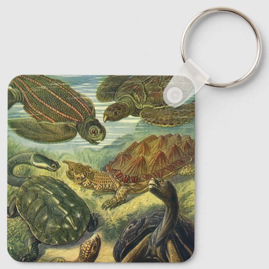  Land Tortoise Zee Schildpadden van Ernst Haeckel Sleutelhanger (Achterkant)