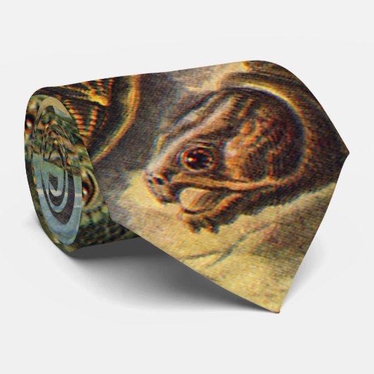 Land Tortoise Zee Schildpadden van Ernst Haeckel Stropdas (Opgerold)