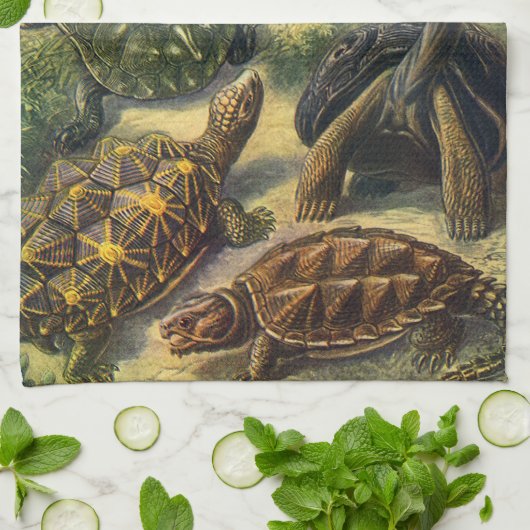 Land Tortoise Zee Schildpadden van Ernst Haeckel Theedoek (Gevouwen)