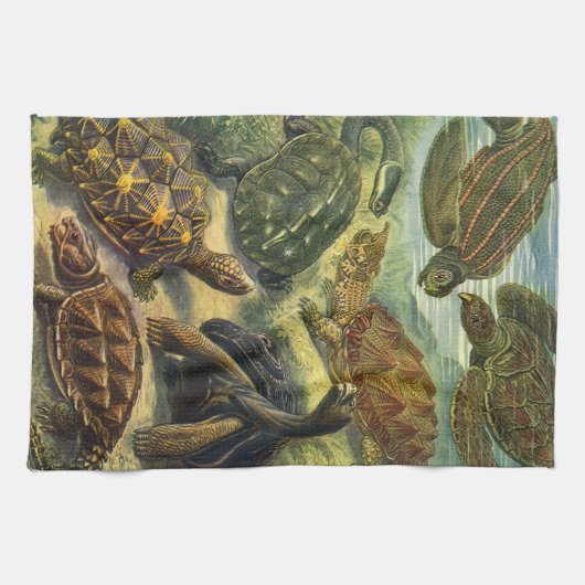 Land Tortoise Zee Schildpadden van Ernst Haeckel Theedoek (Horizontaal)