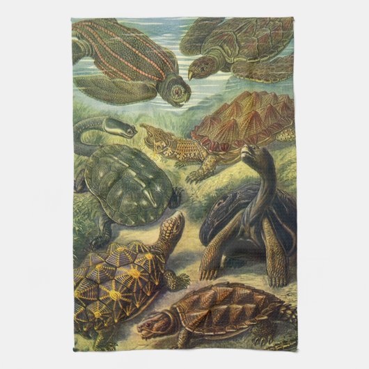  Land Tortoise Zee Schildpadden van Ernst Haeckel Theedoek (Verticaal)