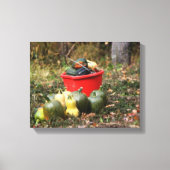 Land Tuin Squash Harvest Canvas Afdruk (Voorkant)
