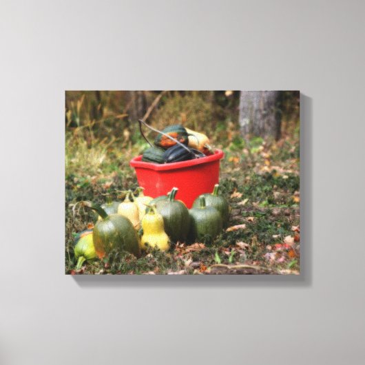Land Tuin Squash Harvest Canvas Afdruk (Voorkant)