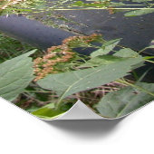 Land van 10.000 meren poster (Hoek)