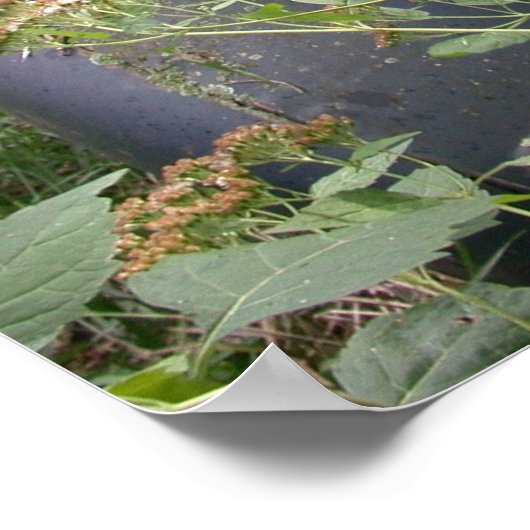 Land van 10.000 meren poster (Hoek)