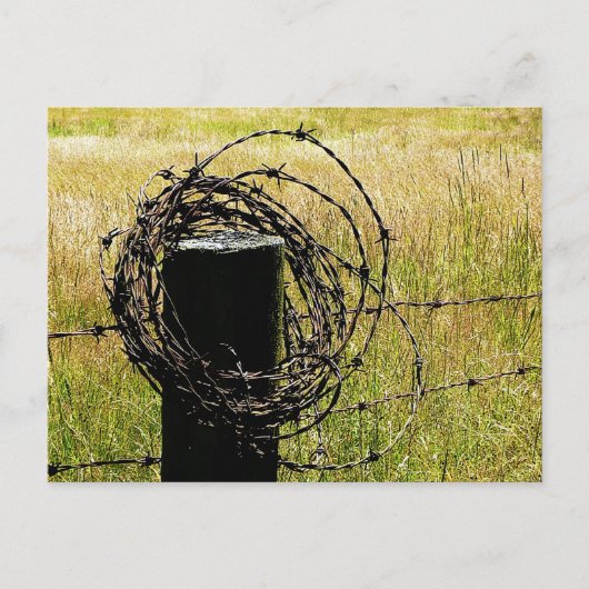 Land van Barbwire Briefkaart (Voorkant)