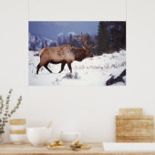 Land van bestemming poster (Keuken)