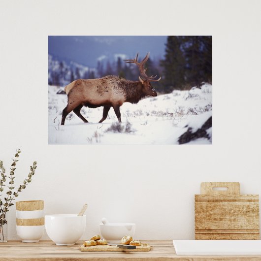 Land van bestemming poster (Keuken)