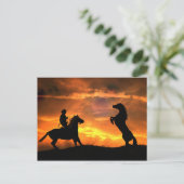 Land van de cowboy- en wilde-paardenfokkerij Weste Briefkaart (Staand voorkant)
